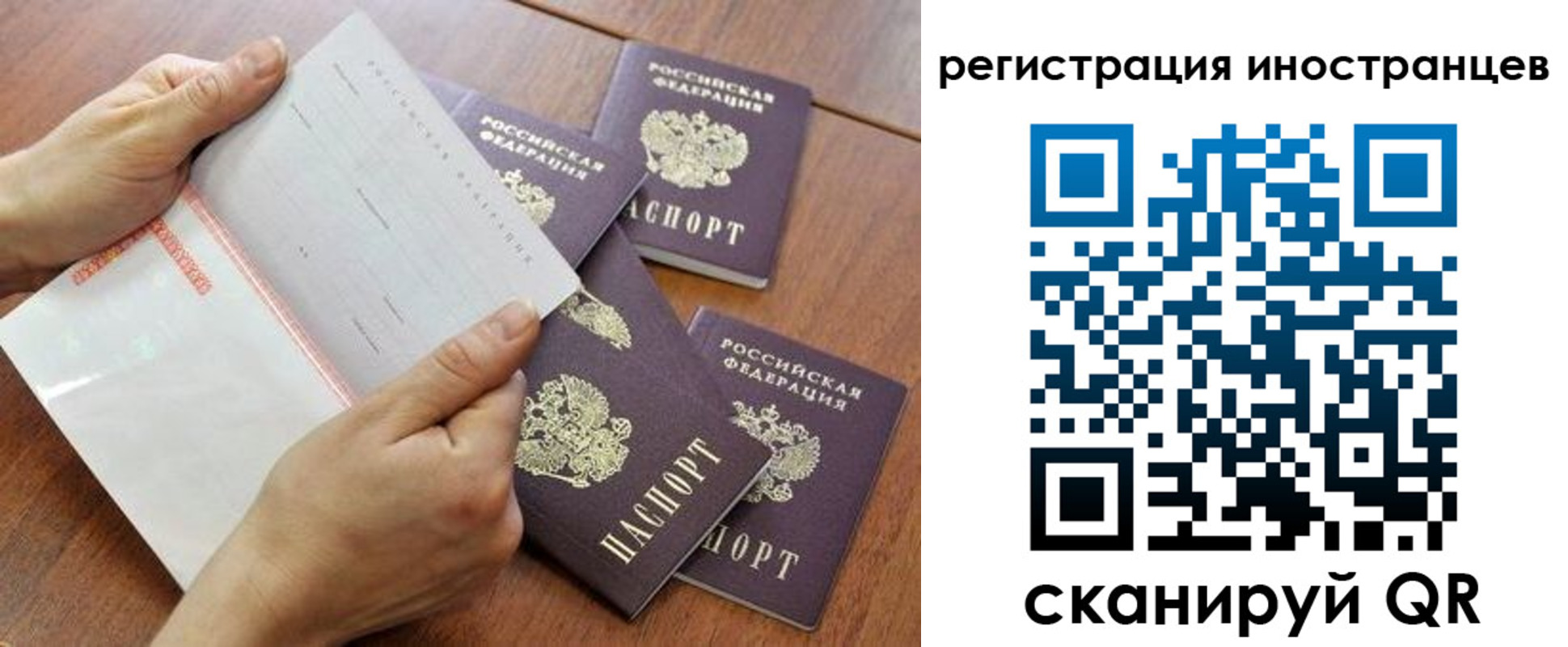 прописка поиск в Нытве